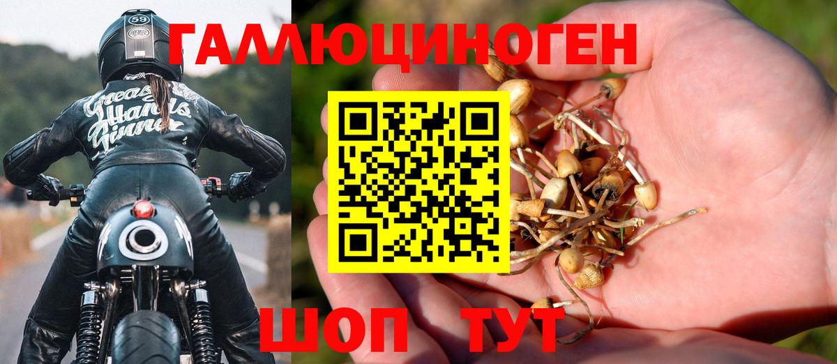 Галлюциногенные грибы мицелий  Вход с VPN  Реж 