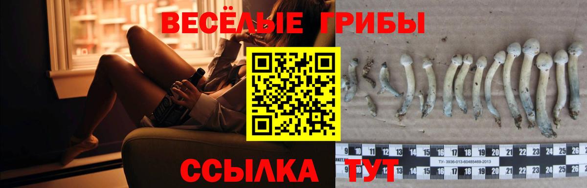 Псилоцибиновые грибы мицелий Реж